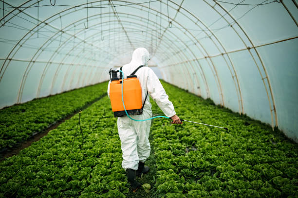 Best Affordable Pest Control Services  in Shelby, MS