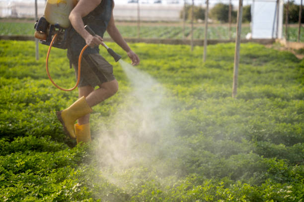 Best Best Pest Control Companies  in Shelby, MS