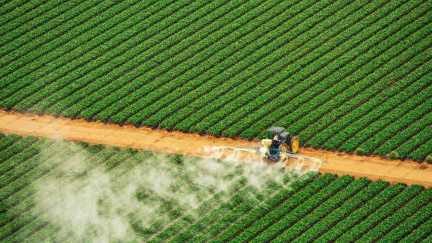 Best Mosquito Control Services  in Shelby, MS
