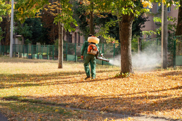Best Pest Prevention Services  in Shelby, MS